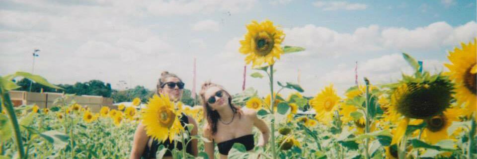 LauraFeltham's profile banner image