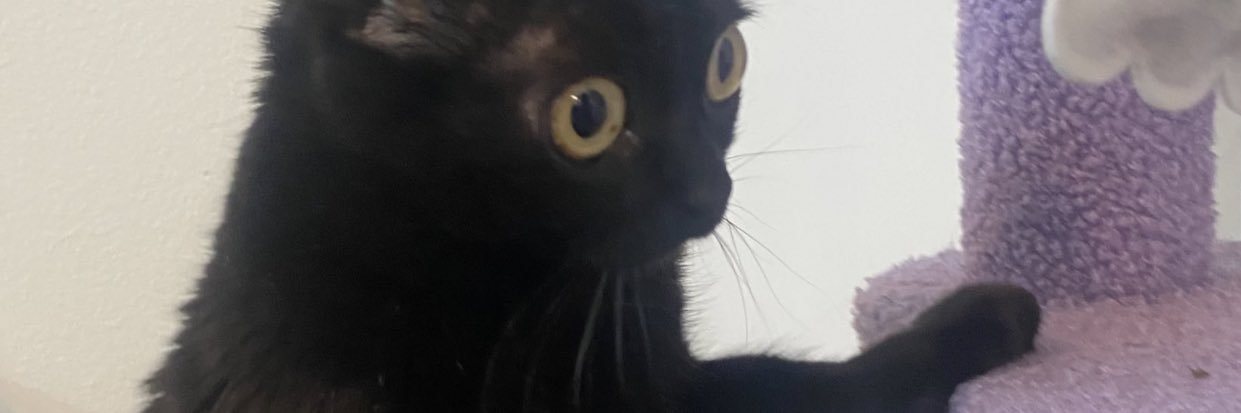 MYrandanoturs's profile banner image