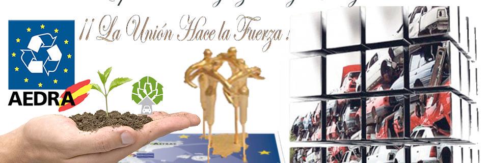 aedraoficial's profile banner image