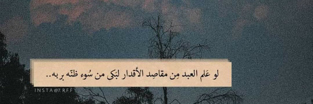 MMohamad1998's profile banner image
