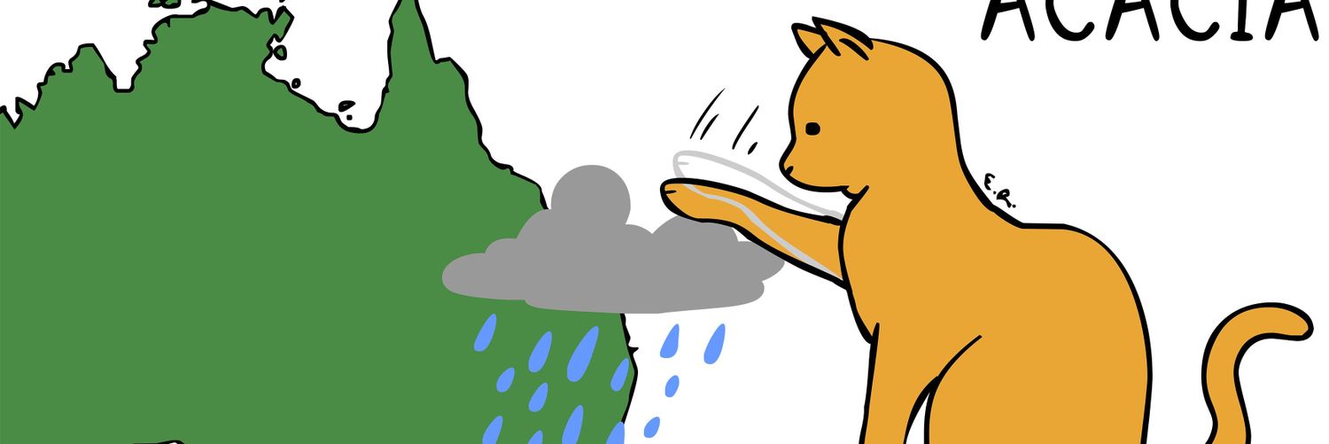 acaciapepler's profile banner image