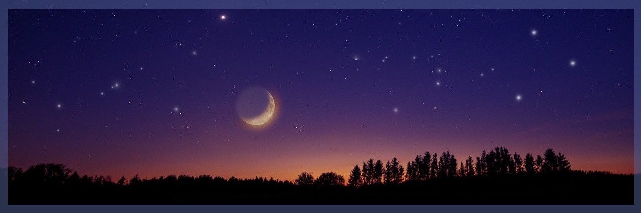 resetQQ's profile banner image