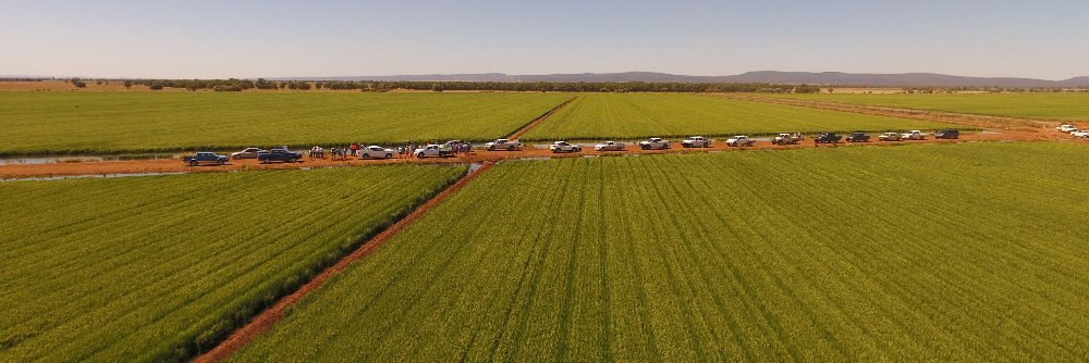 Rice Extension banner