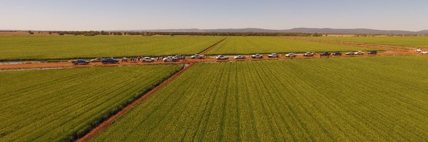 RiceExtension Profile Banner