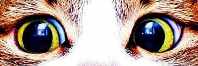 Atigan_Ch's profile banner image