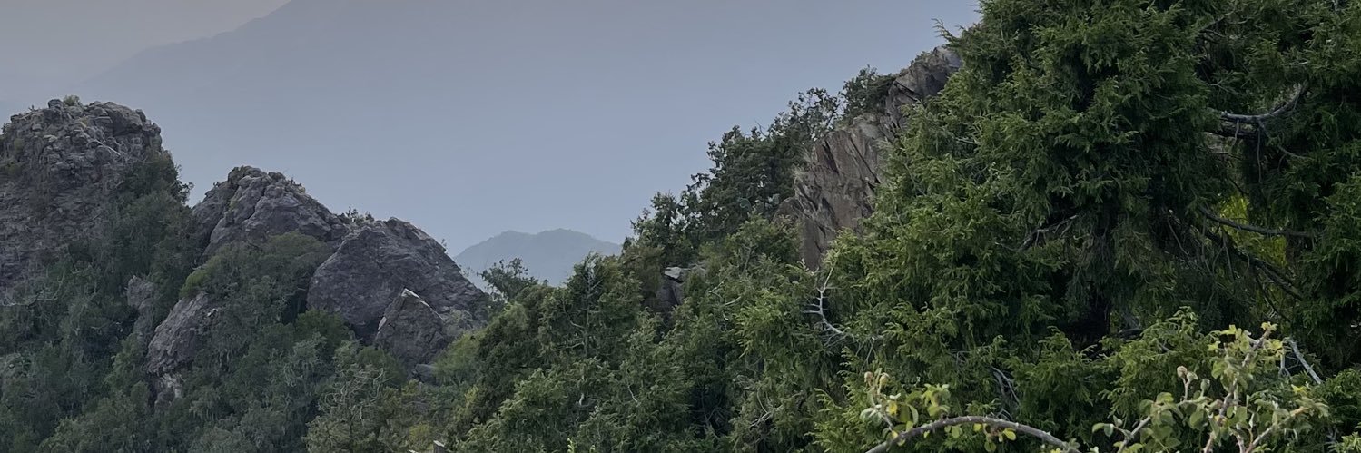 llFUT's profile banner image