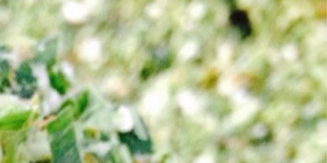 larrydmast's profile banner image