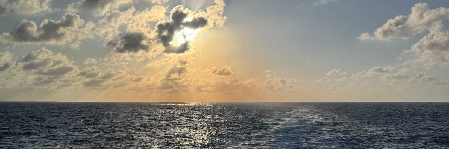 nikigibs's profile banner image
