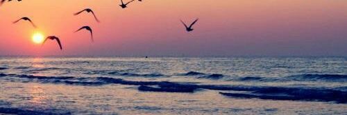 nurah889's profile banner image