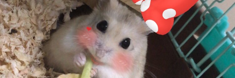 akkkn14's profile banner image