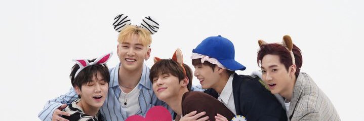 v banner