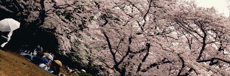 _IWACHIMARU_'s profile banner image