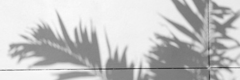 Charlyrpgsbr's profile banner image