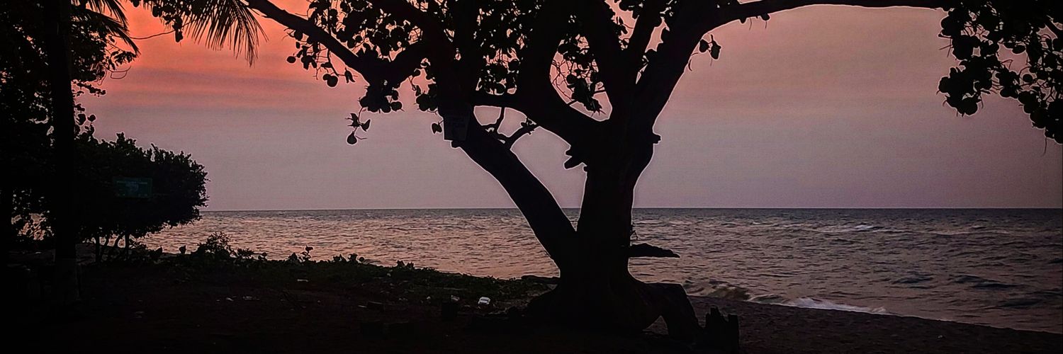 Edgardo_3's profile banner image