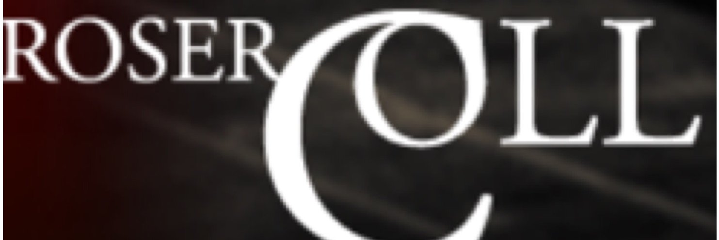 TallerRoserColl's profile banner image