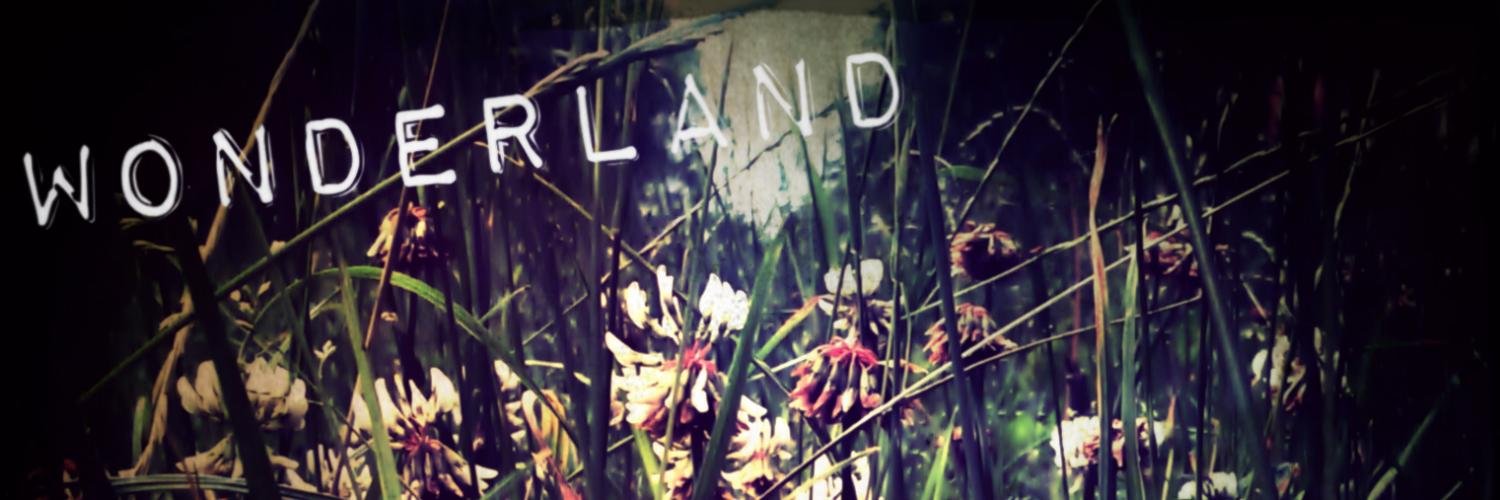 dirtydirtycat's profile banner image