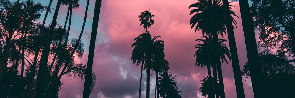 ozpd420's profile banner image