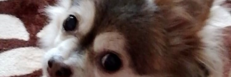 A7k7Y's profile banner image