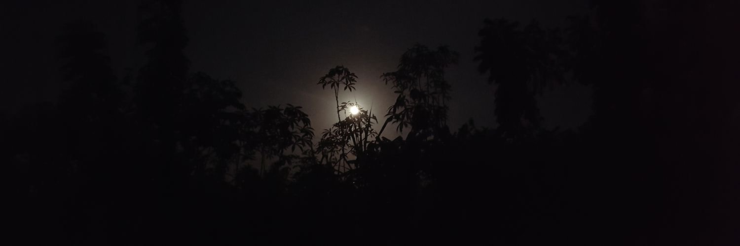 joshwieee's profile banner image