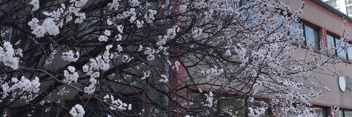 사브리나 banner