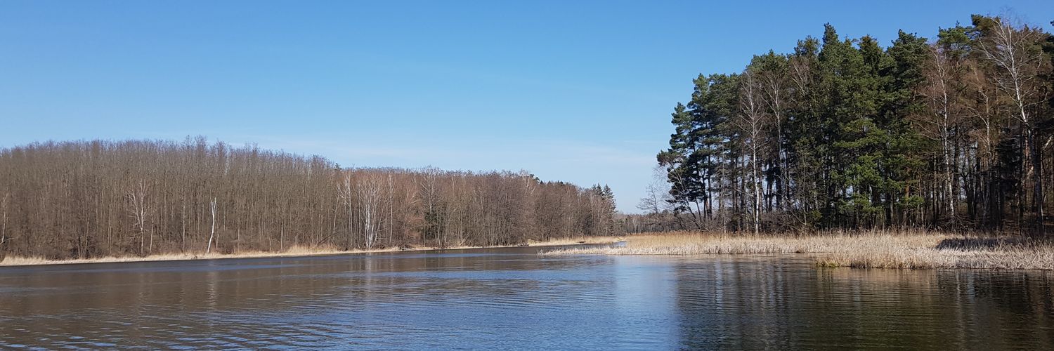 przemokuch's profile banner image
