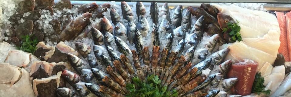 Something Fishy banner