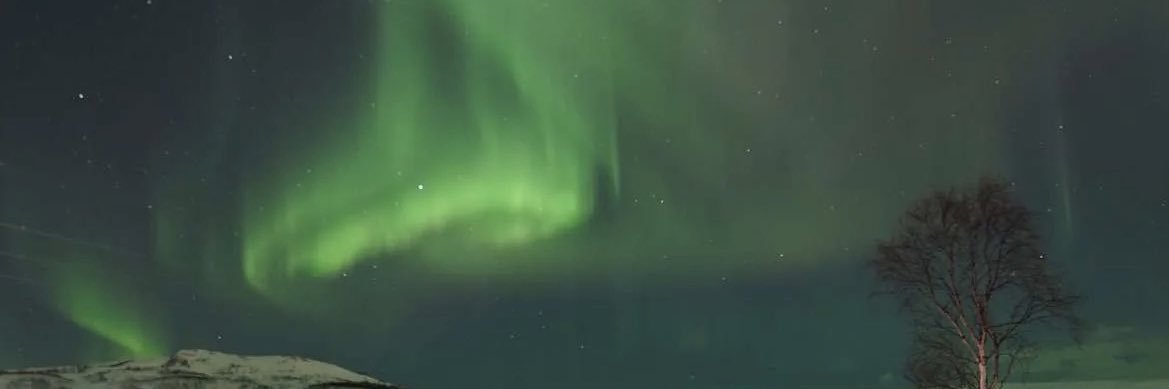 MariamAlRoa3's profile banner image