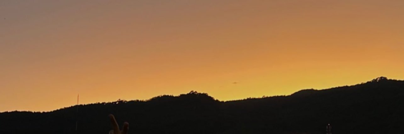 🦋 banner