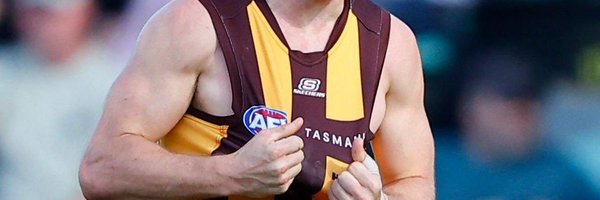 goldandbrown4 Profile Banner