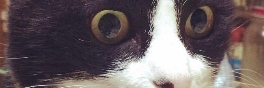 0_bleu's profile banner image