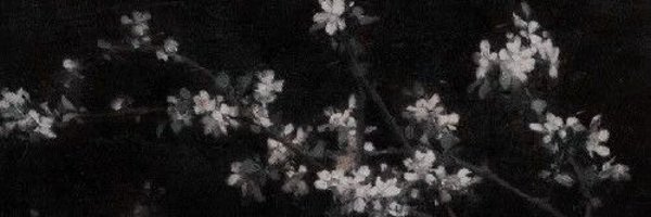 radiohaedd Profile Banner