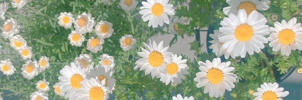 hamuko01 Profile Banner