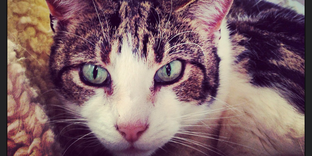 Em 🧘🏽‍♀️ banner