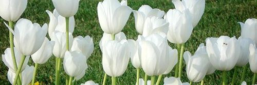 43fd6ef1a88d46f's profile banner image