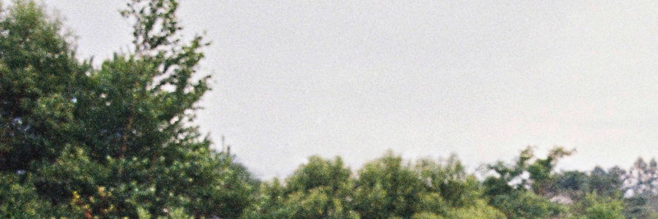 BOTAN_PCY's profile banner image