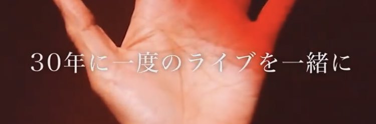 naoko3244's profile banner image