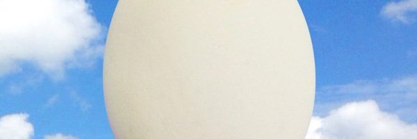 m_hayase256 Profile Banner