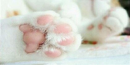 썸바디헬프미 banner