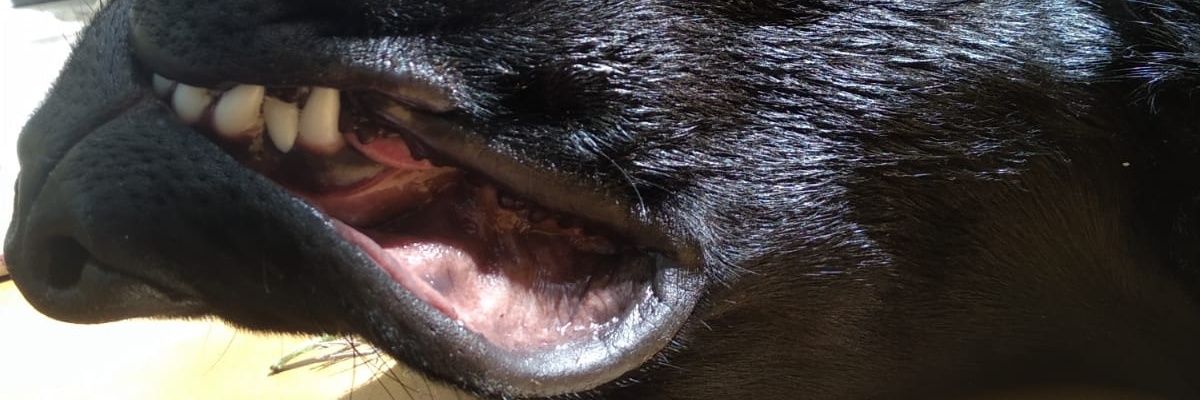 _sofiatrinidad's profile banner image