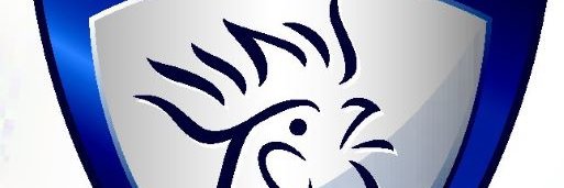 Dannenberg Twenthe Tekst banner