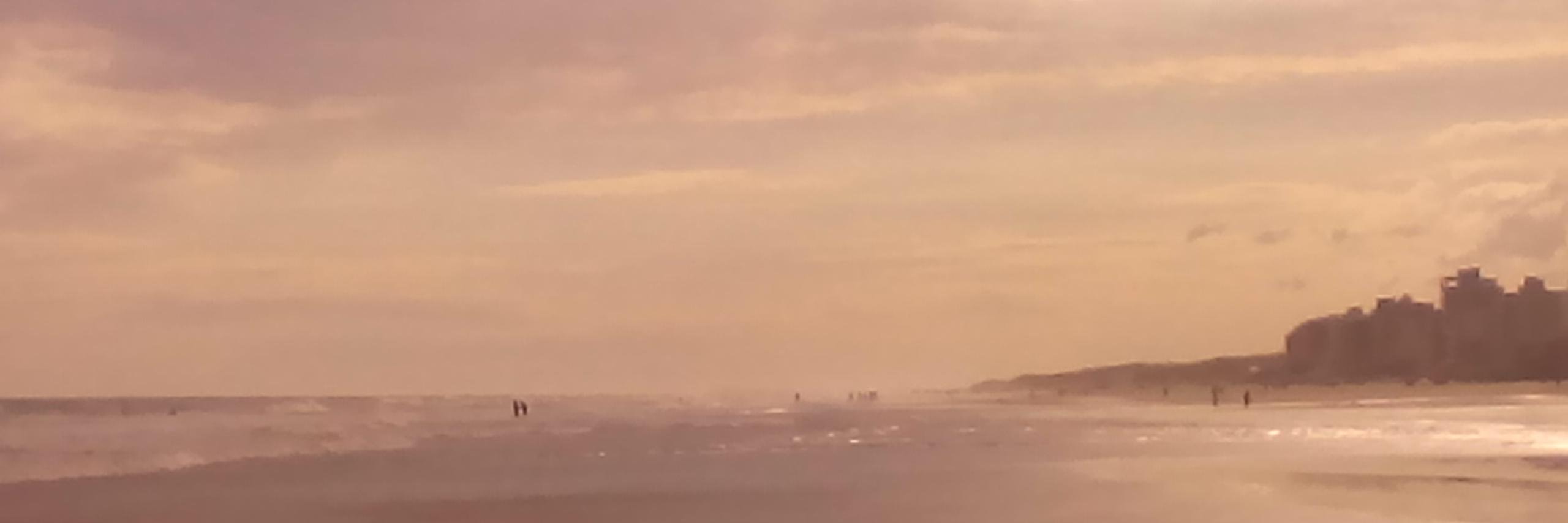 dario22's profile banner image