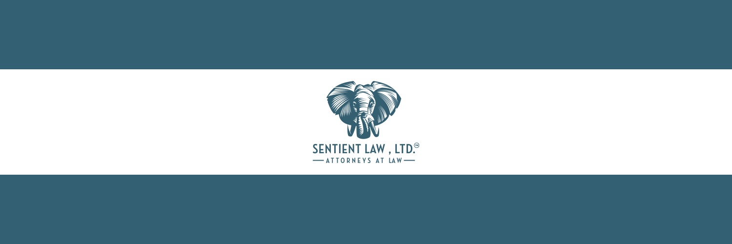 SentientLaw's profile banner image