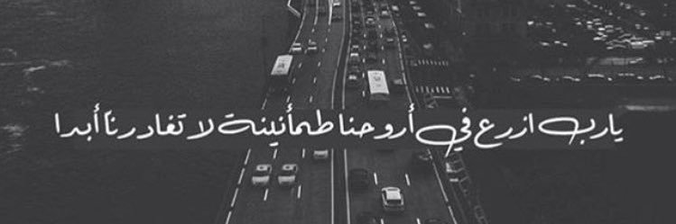 k11845561's profile banner image