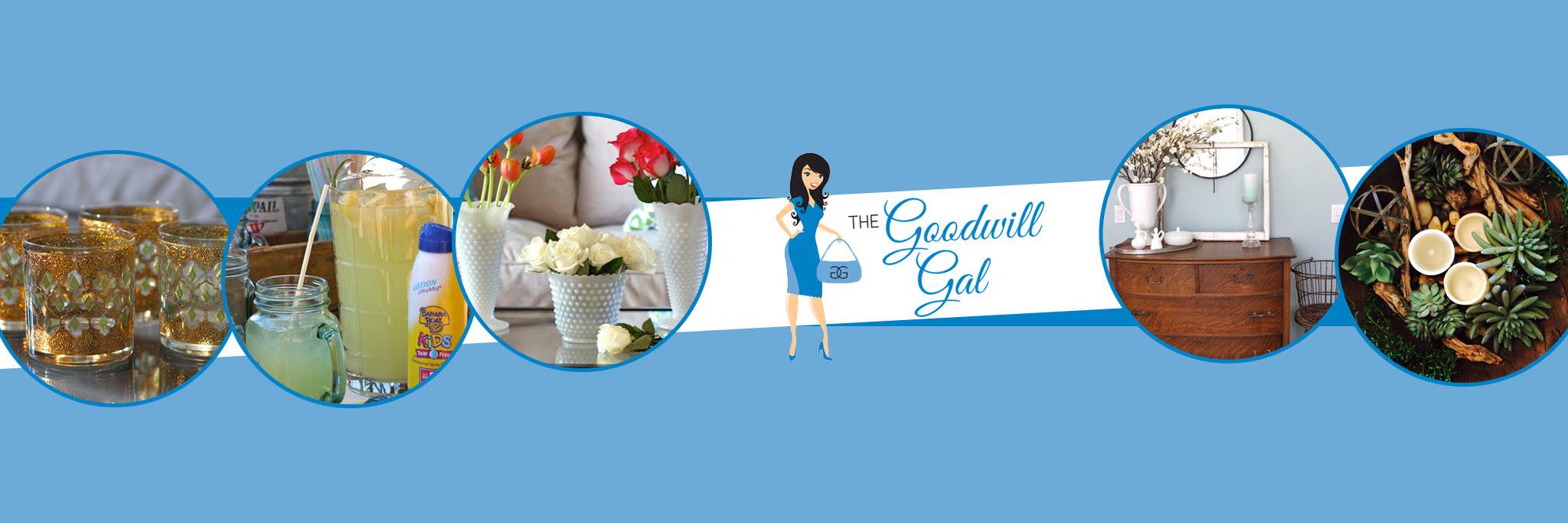 TheGoodwillGal's profile banner image