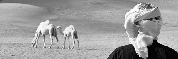 150Baa's profile banner image