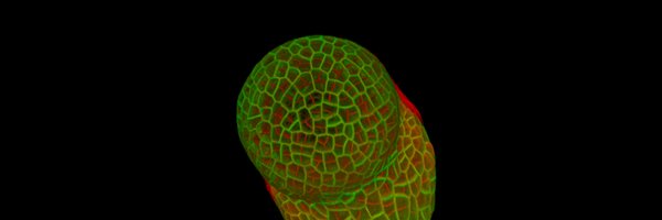 yassin_refahi Profile Banner