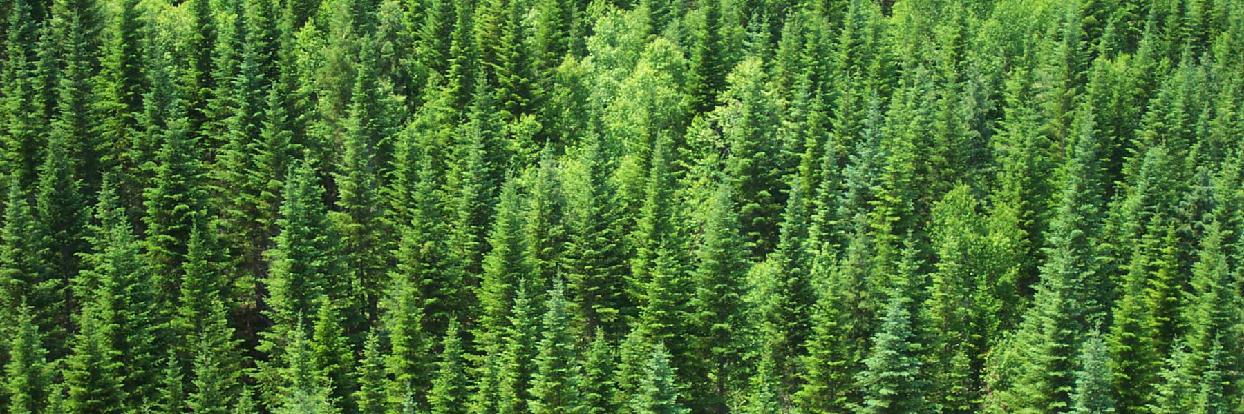 cif_nl's profile banner image