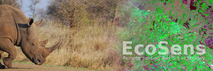 EcoSensing's profile banner image