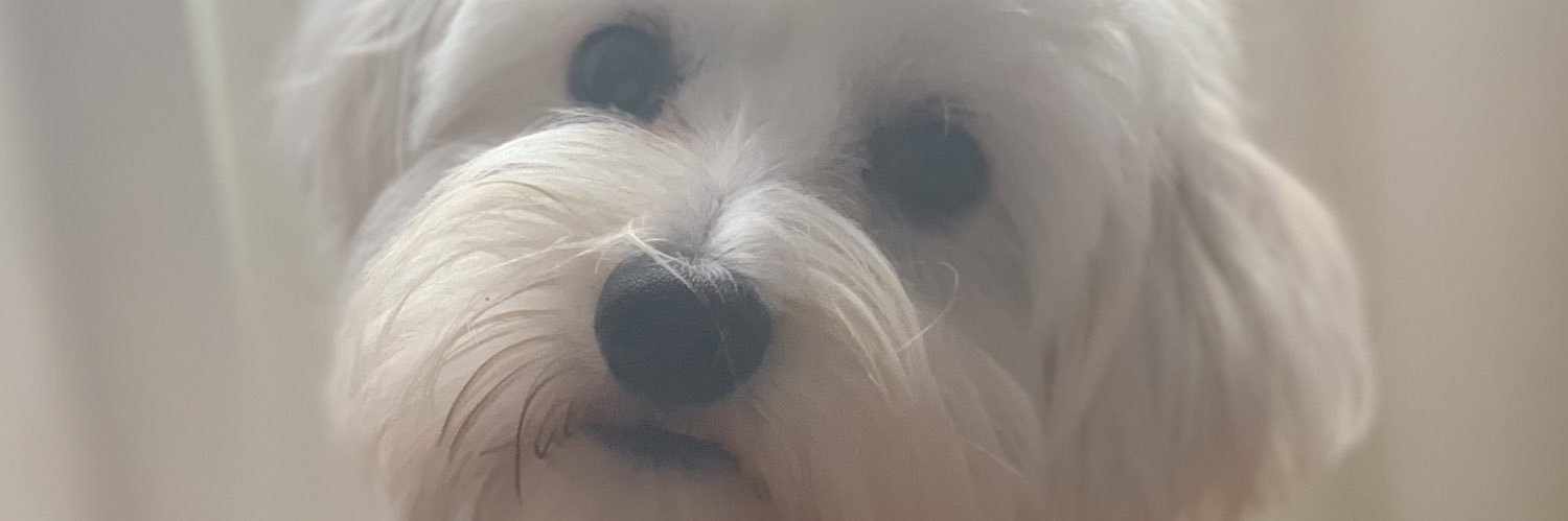 Ayunquera's profile banner image
