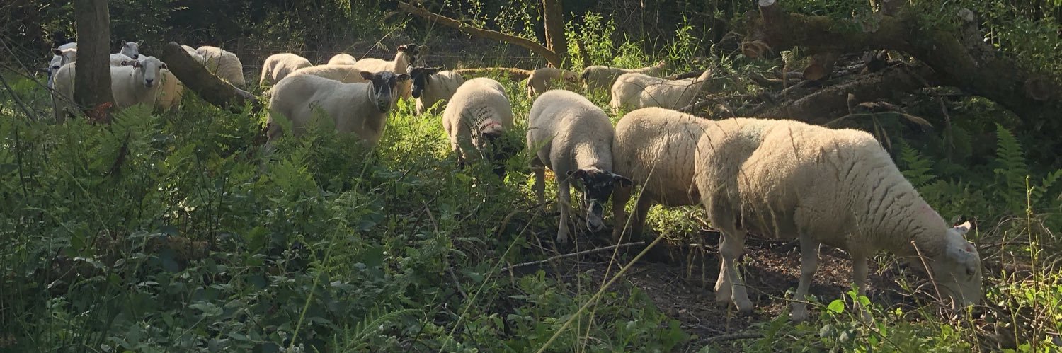 Matt Chatfield banner